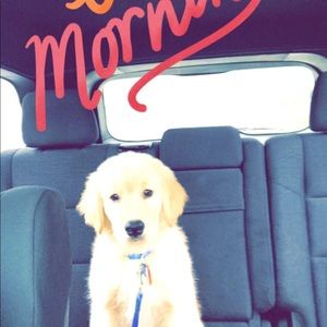 Meet your Posher, Kate